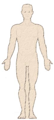 human figure